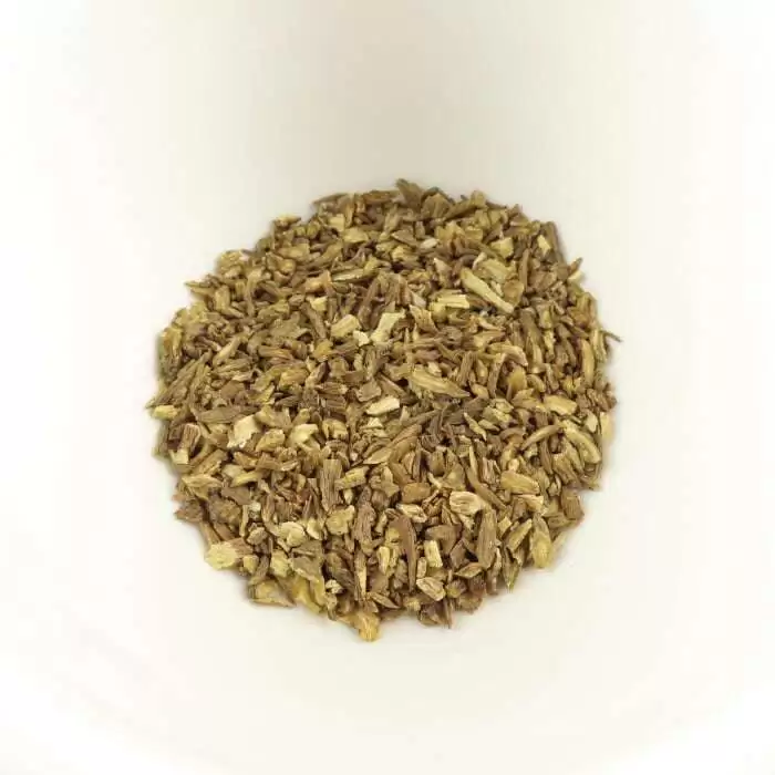 Dong Quai herb