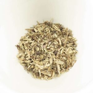Echinacea Root