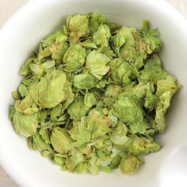 Hops herb