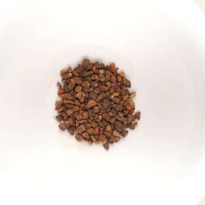 Bloodroot