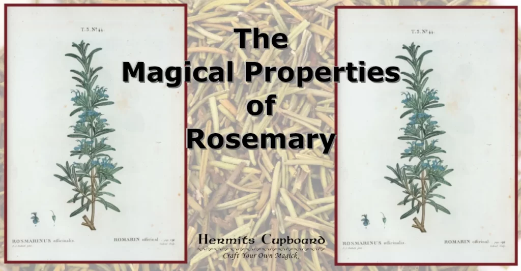 The Magical Properties of Rosemary | Hermits' Cupboard | Folklore
