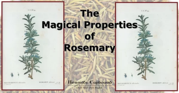 The Magical Properties of Rosemary