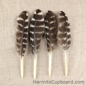 Barred Feather Small