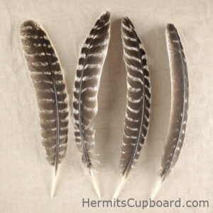 Altar Feathers