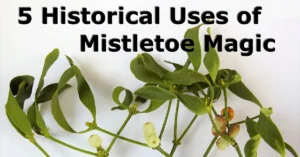 5 Historical Uses of Mistletoe Magic