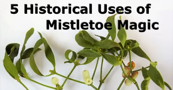 5 Historical Uses of Mistletoe Magic