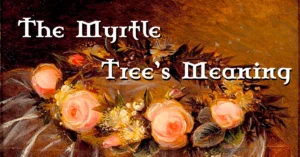 What is the Myrtle Tree’s Meaning?