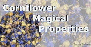 Cornflower Magical Properties