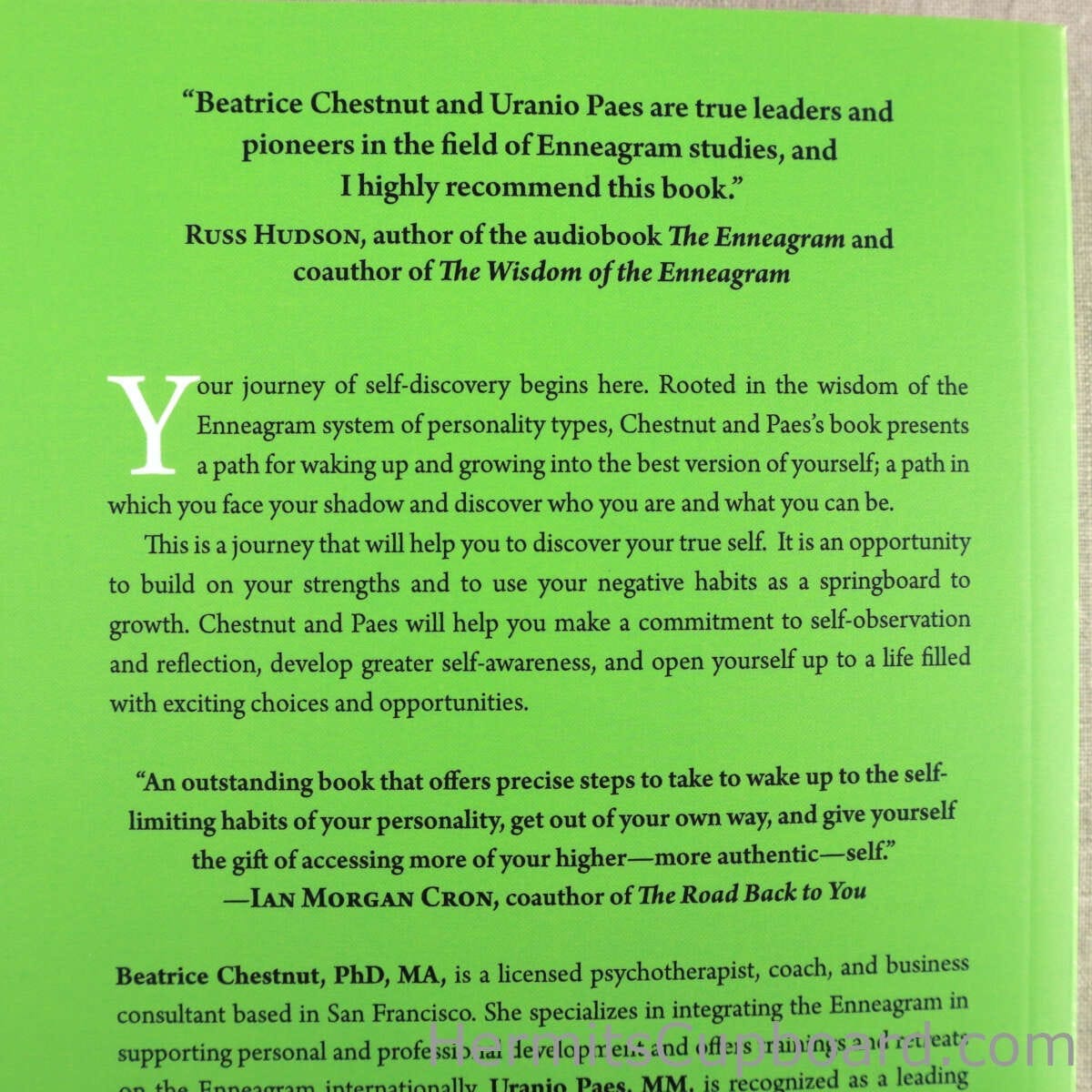 The Enneagram Guide to Waking Up back cover top