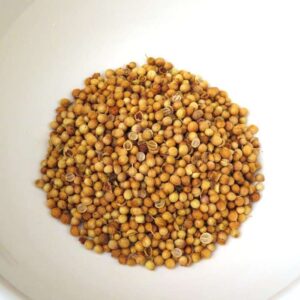 Coriander Fruits