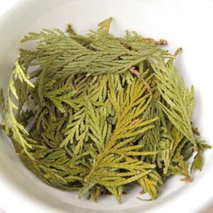 Red Cedar Tips